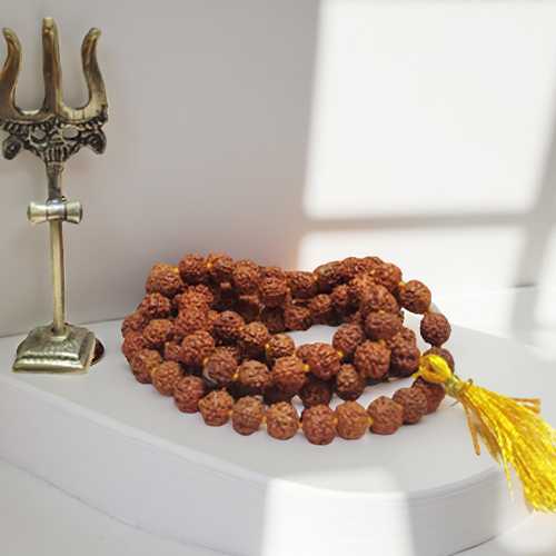 collection-img
